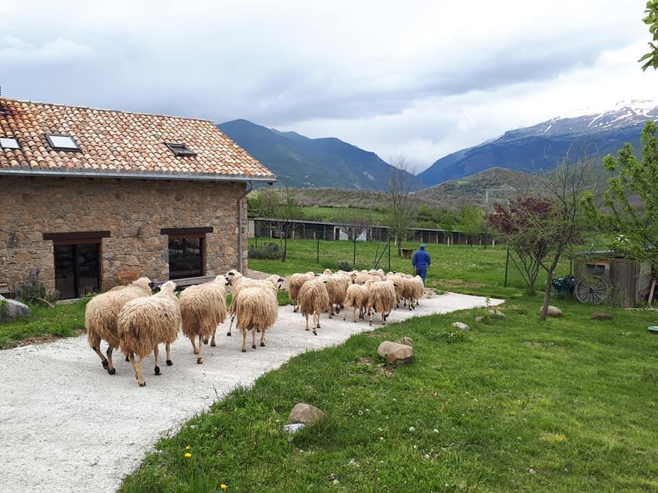 Albergue A'Noguera كاستيلو دي جاكا المظهر الخارجي الصورة